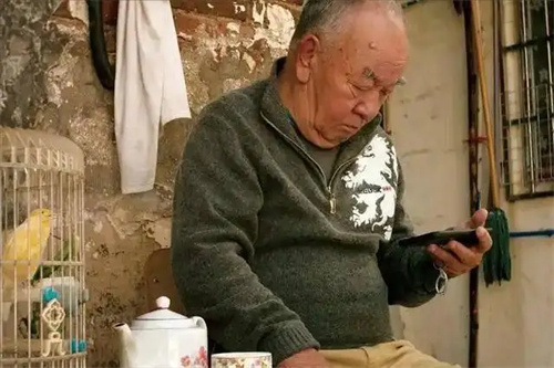 图片细节